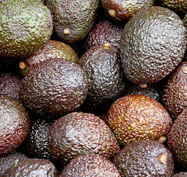 avocados